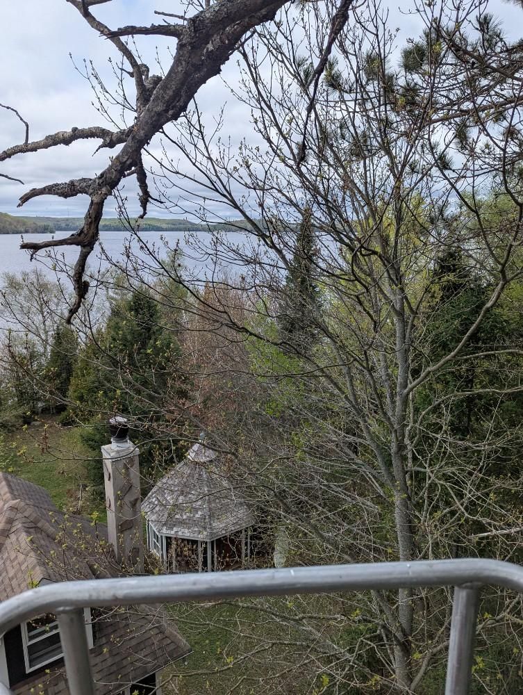 View from a balcony over trees and rooftops, with a stone chimney and cloudy sky.