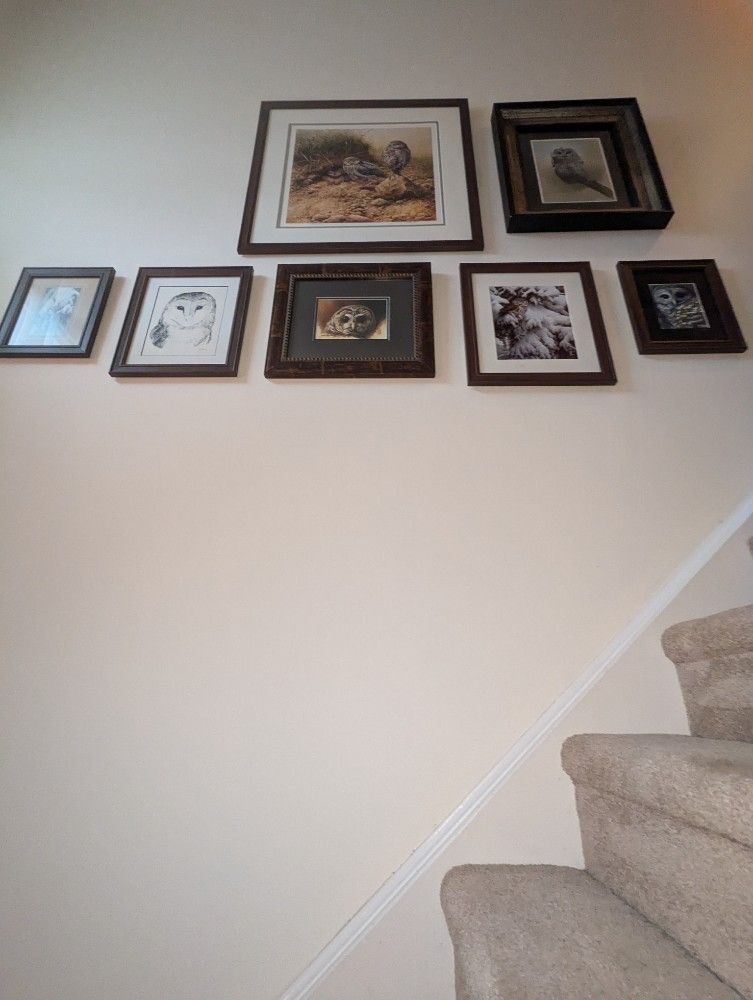 Stairway wall with a gallery of framed artwork above beige carpeted stairs.