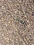 Crushed Rocks — La Luz, NM — R.D. Blankenship Dirt Work LLC