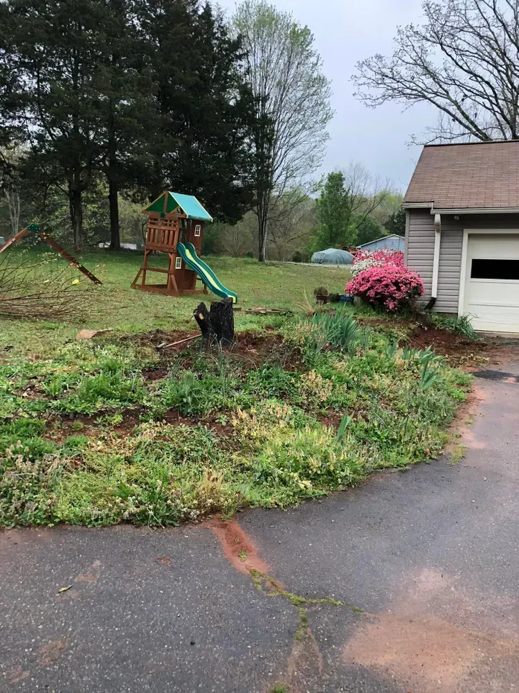 Backyard with a children's playset, trees, and a driveway beside a house.