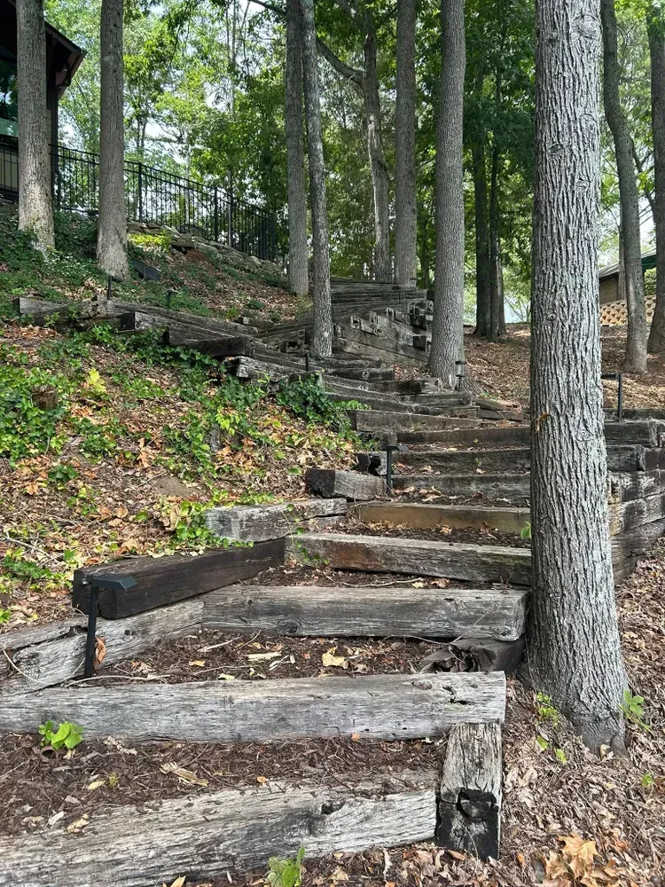 Wooden steps winding up a wooded hillside among trees and fallen leaves