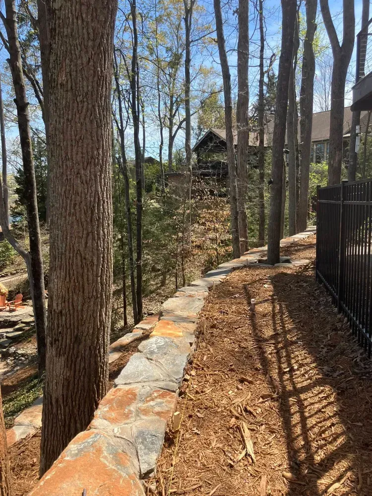 Wooded backyard path beside a stone border, with tall trees, black fence, and a house in the distance.