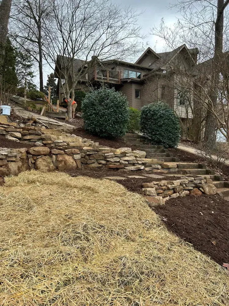 Rocky hillside yard with stone retaining walls, shrubs, leafless trees, and a house above.