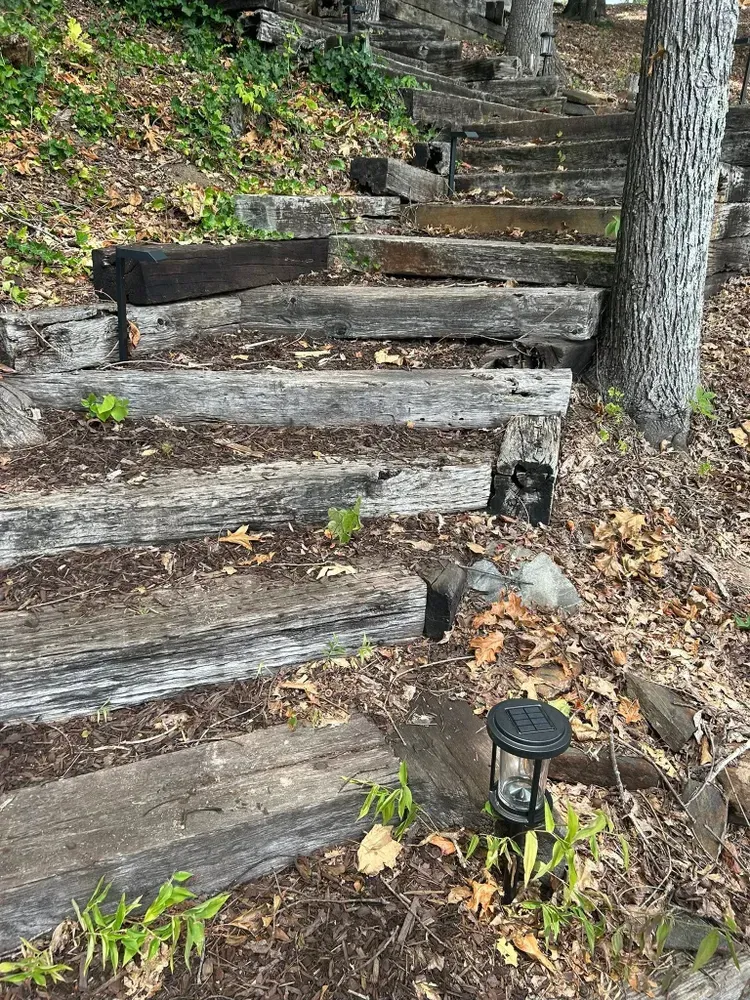 Rustic wooden steps climbing a wooded hillside with a small path light on the right