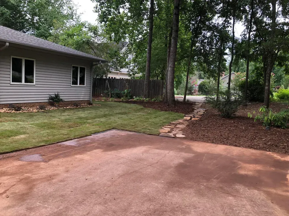 Backyard with a concrete patio, house wall, trees, and a stone path leading into a wooded area