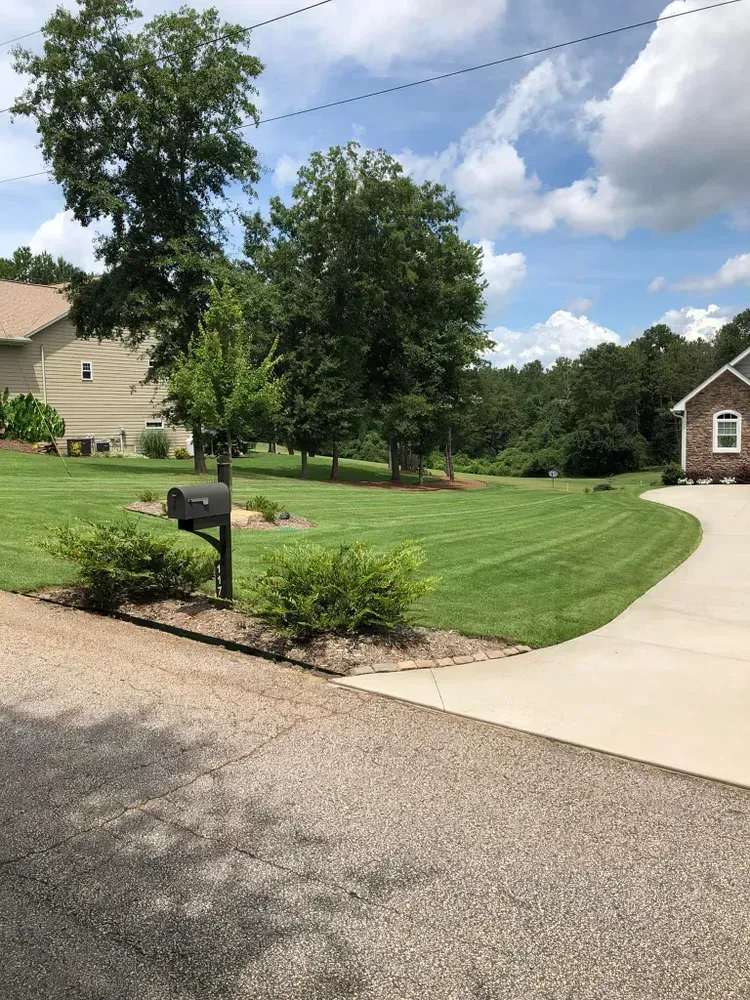 Suburban driveway and lawn with a mailbox, trees, and houses under a partly cloudy sky