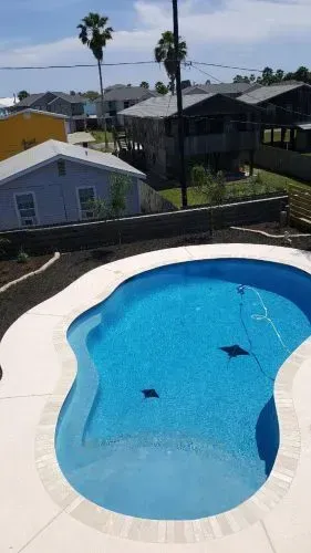A large swimming pool with two stingrays in it is surrounded by houses.
