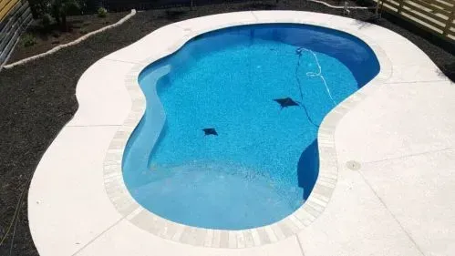An aerial view of a swimming pool with two stingrays in it.