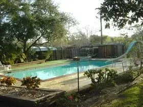 A large swimming pool with a slide in the backyard surrounded by trees.