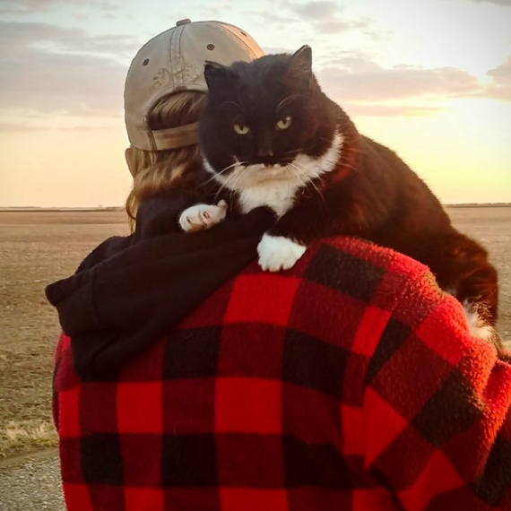 A man in a plaid shirt is holding a black and white cat on his shoulder