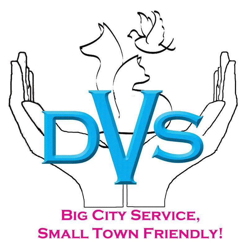 A logo for dvs big city service small town friendly