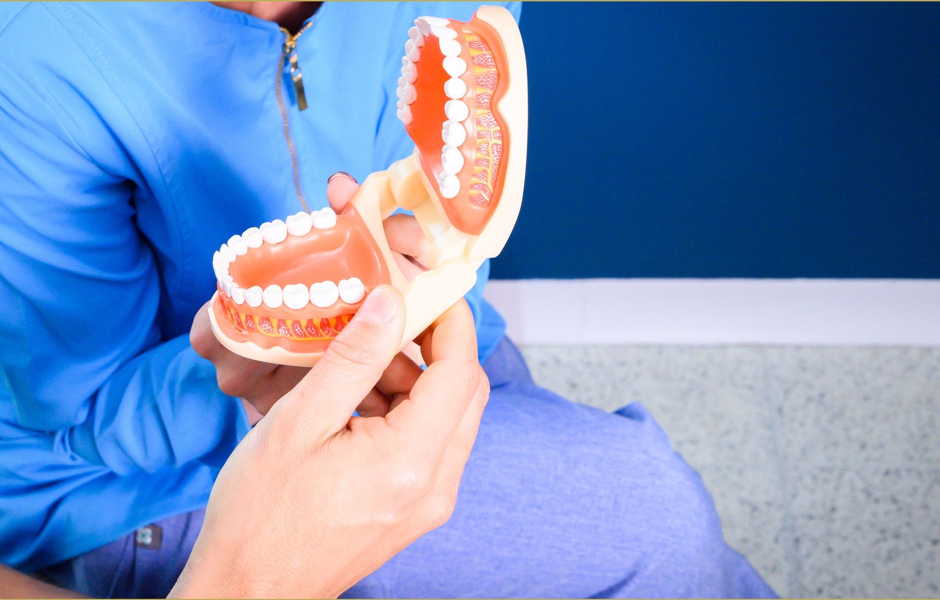 Dentist holding a model of open dentures in a clinic setting