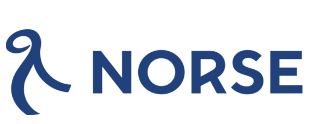 Blue Norse logo with stylized symbol and the word "NORSE".