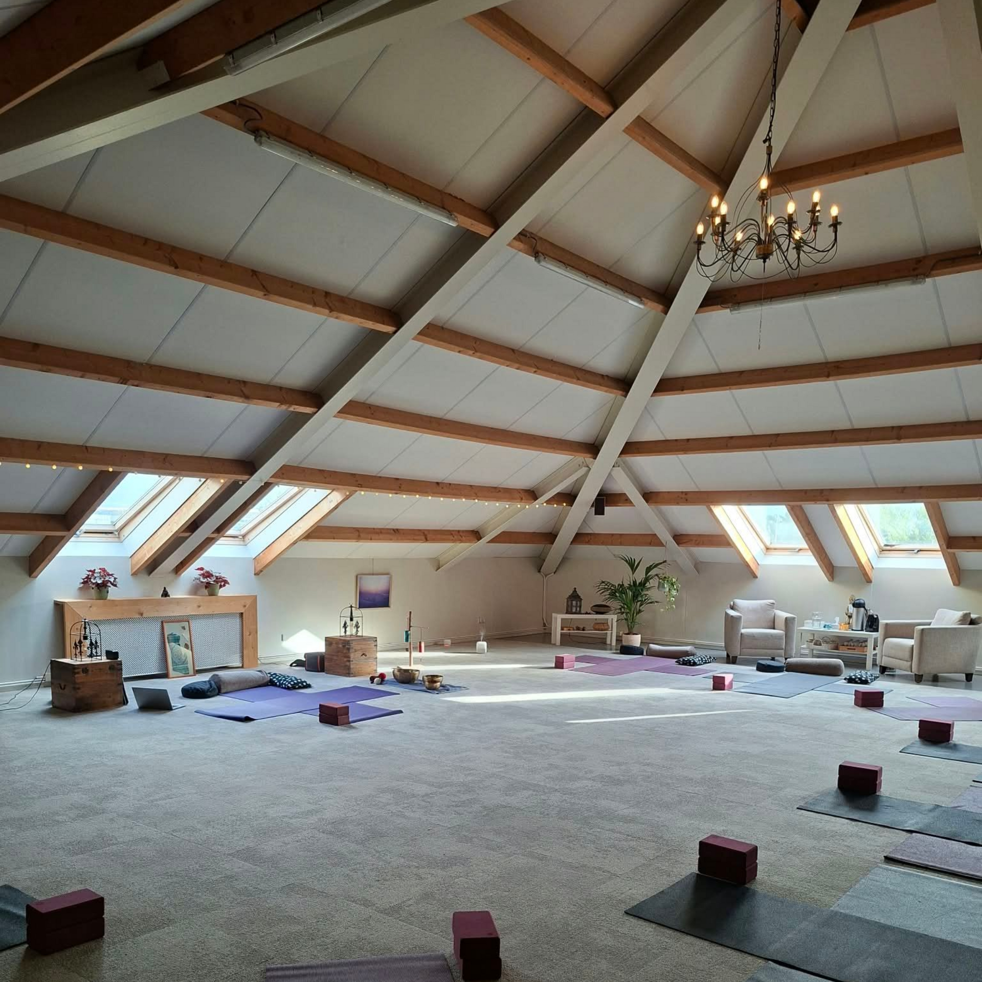 Zensa Yoga Naaldwijk