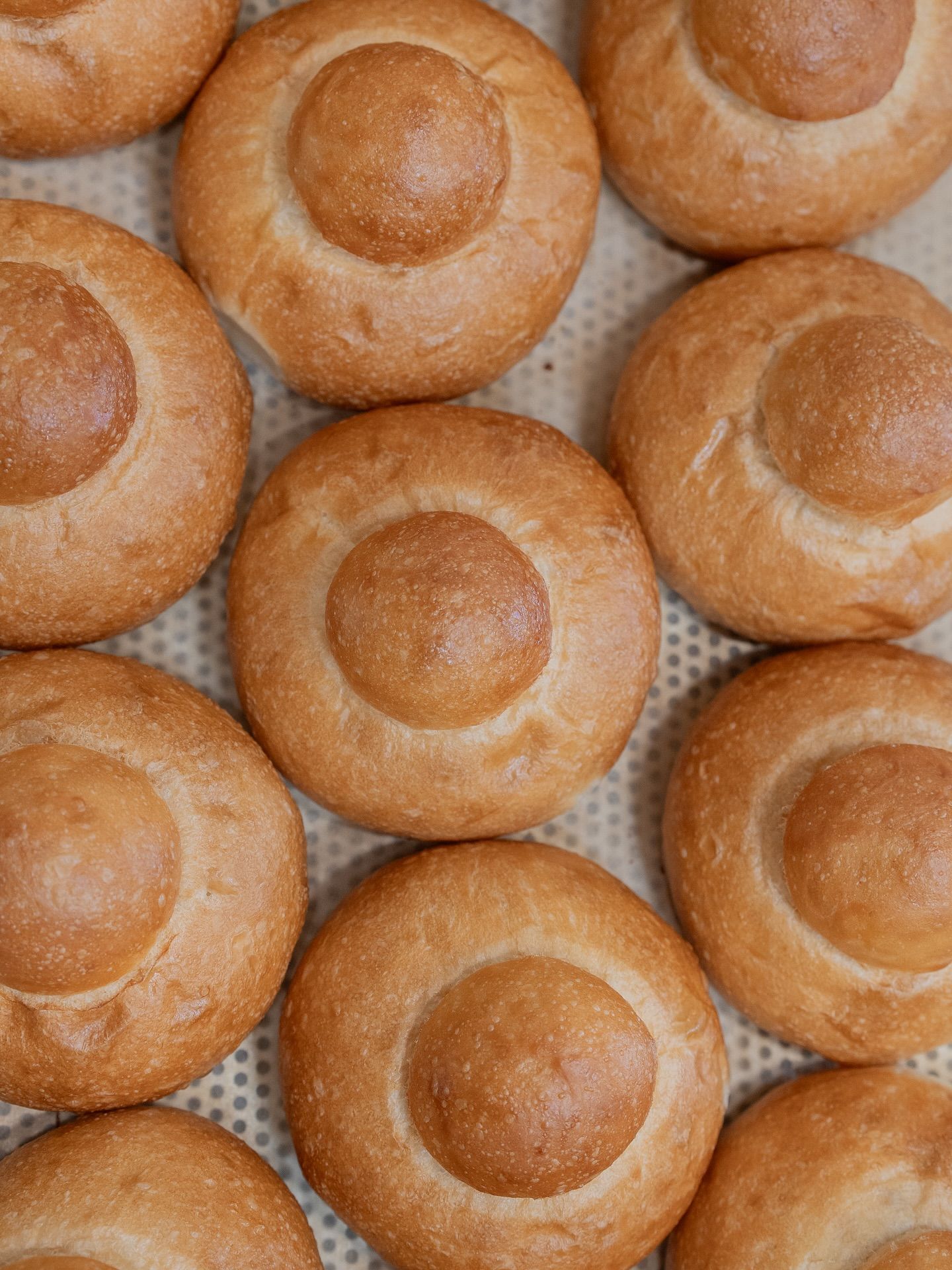 Close-up of baked brioche buns with a central dome, arranged on a baking sheet. Golden-brown color.Domenica 
Home made italian pastries, food & coffee 
