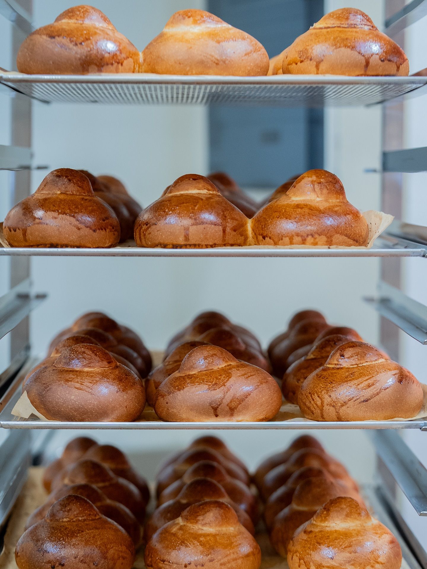 Brioche buns, golden brown and fluffy, arranged on metal racks in a bakery.Domenica 
Home made italian pastries, food & coffee 
