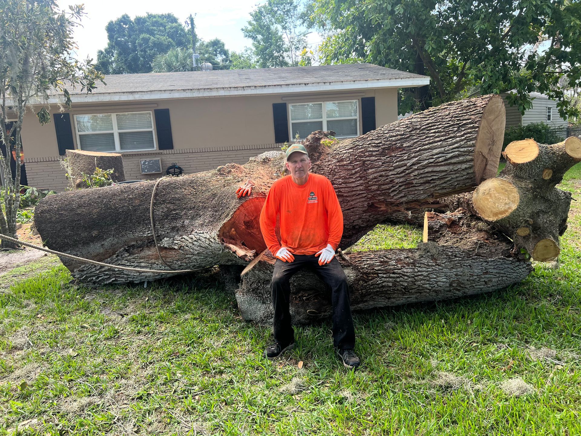 Man in bright orange shirt sitting on a huge fallen tree trunk in a front yard.