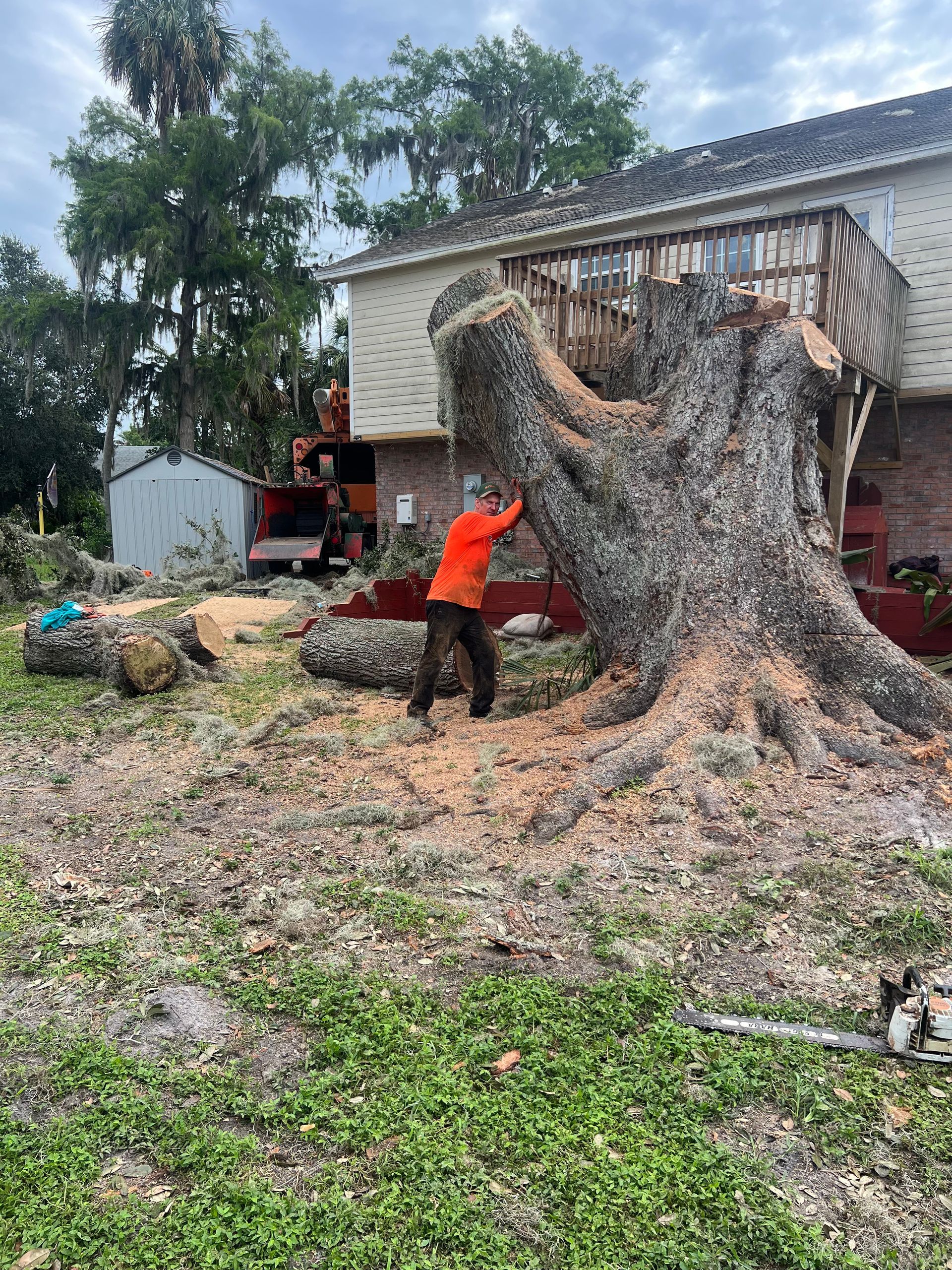 Person in orange shirt cutting a large tree stump beside a house, with a chainsaw and wood chips scattered around.