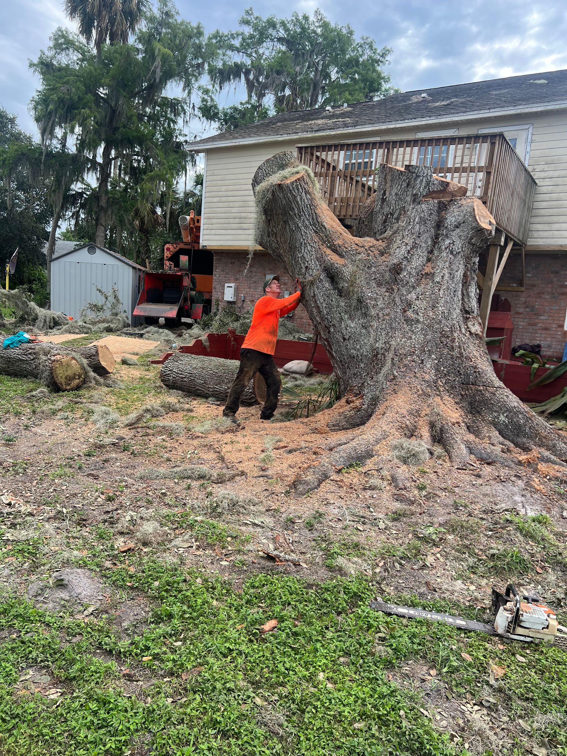 Worker in an orange shirt standing by a massive fallen tree beside a truck and house in a yard.