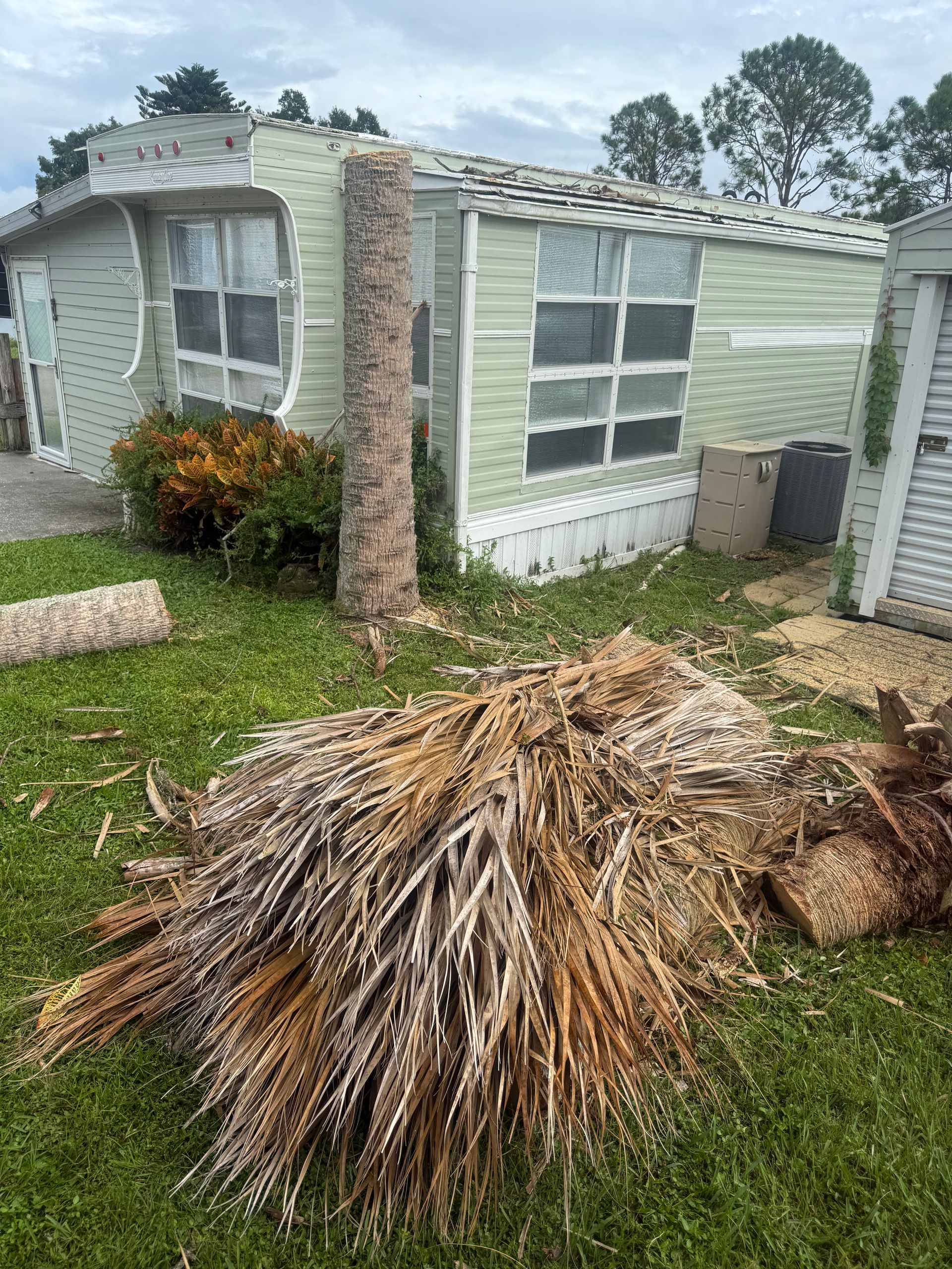 Storm-damaged mobile home with a collapsed palm frond pile in the foreground.