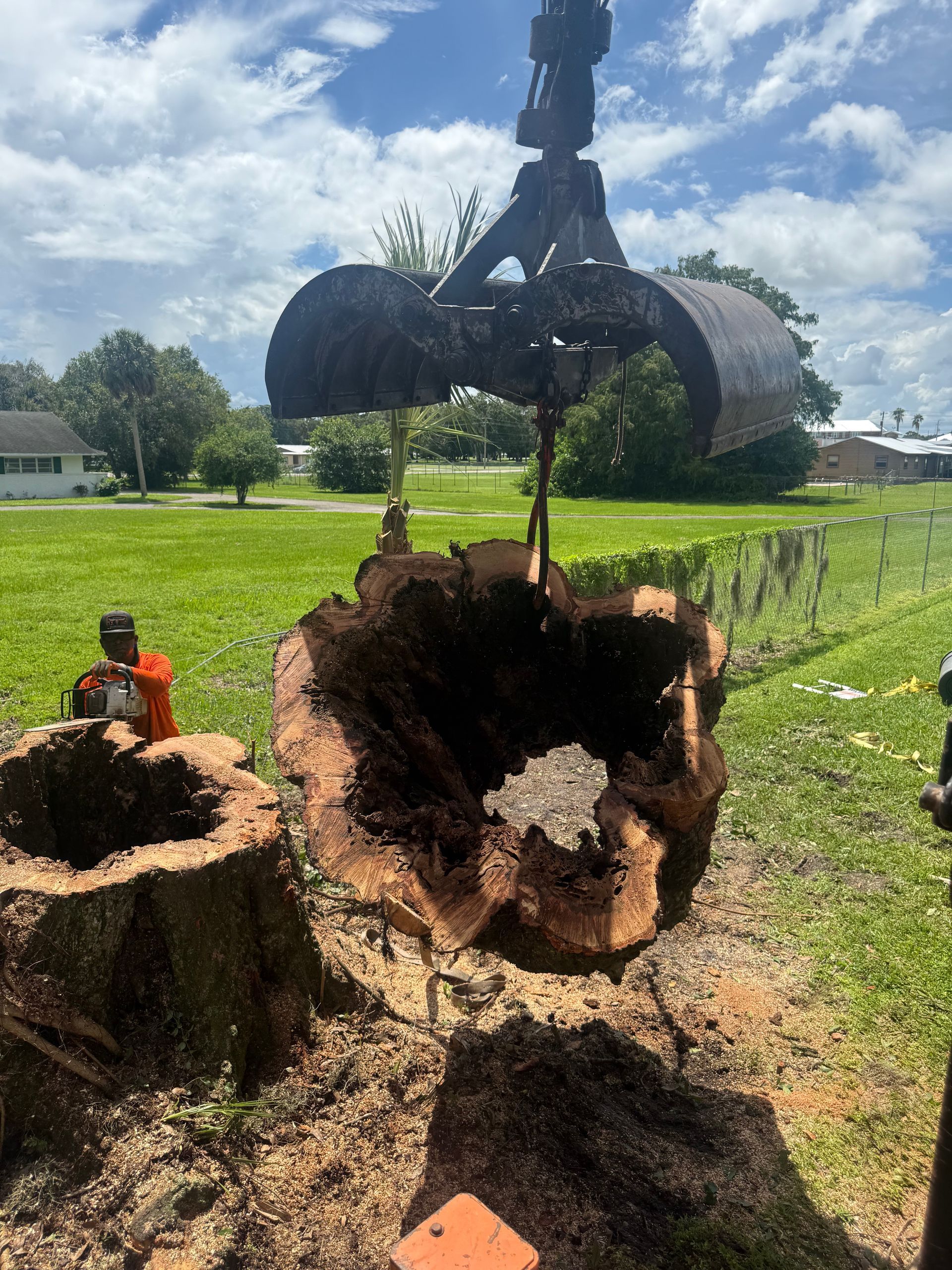 Excavator lifting a large uprooted tree stump in a grassy field under a partly cloudy sky