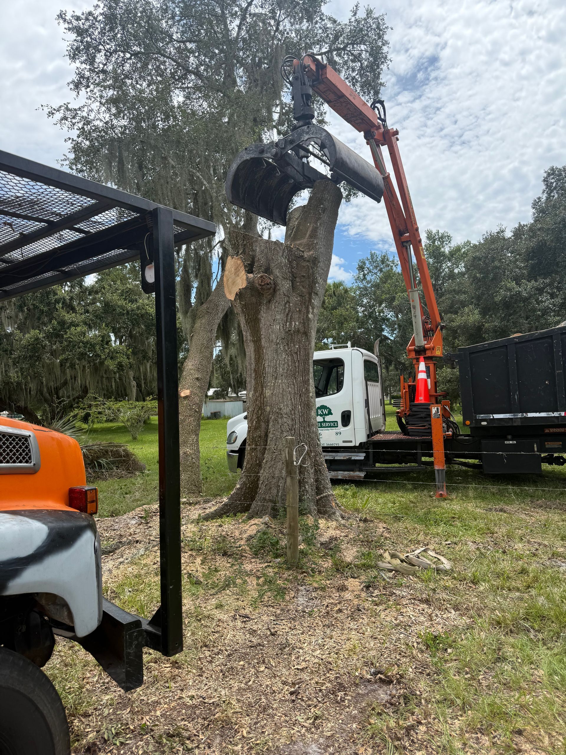 Orange crane lifting a large tree trunk beside a truck in a grassy yard