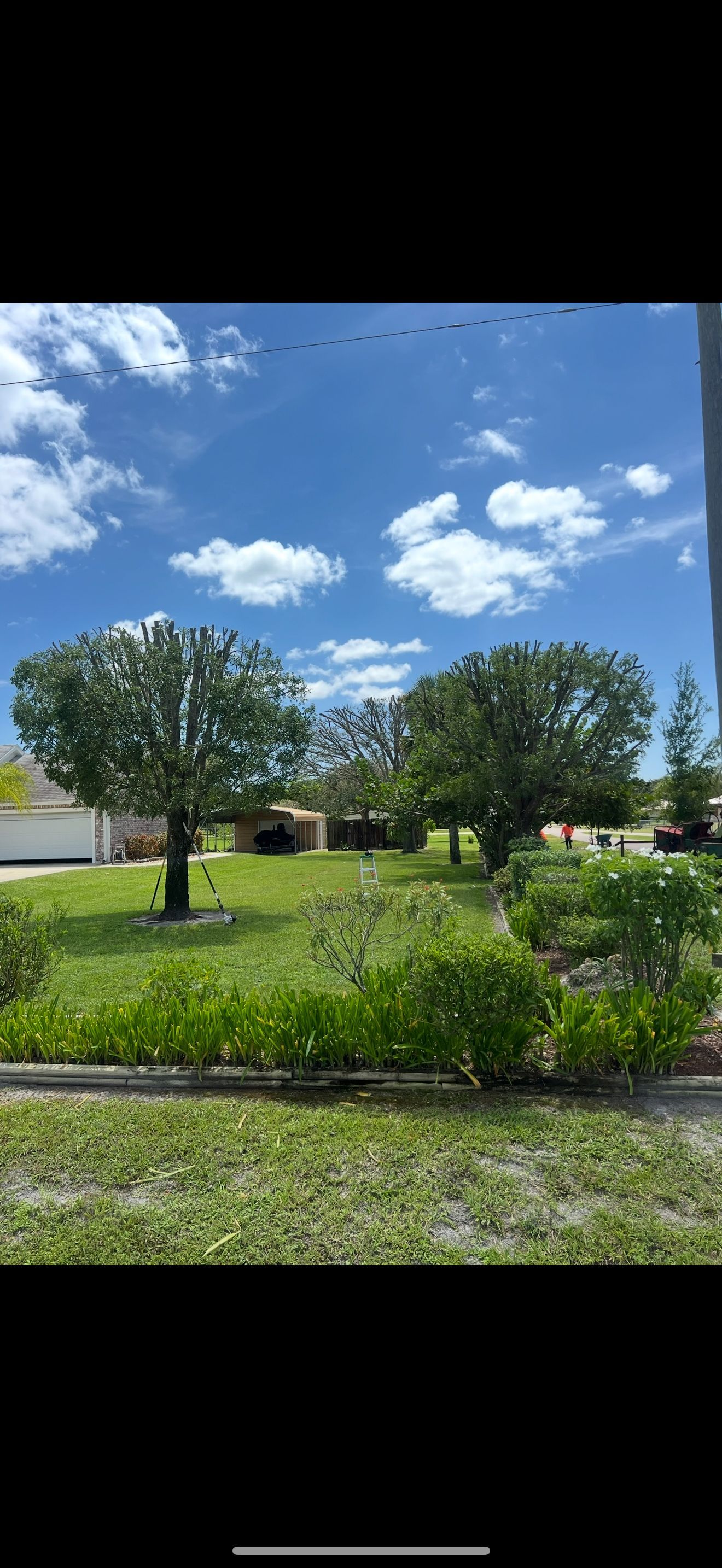 Sunny park with green trees, shrubs, and a blue sky with scattered clouds.