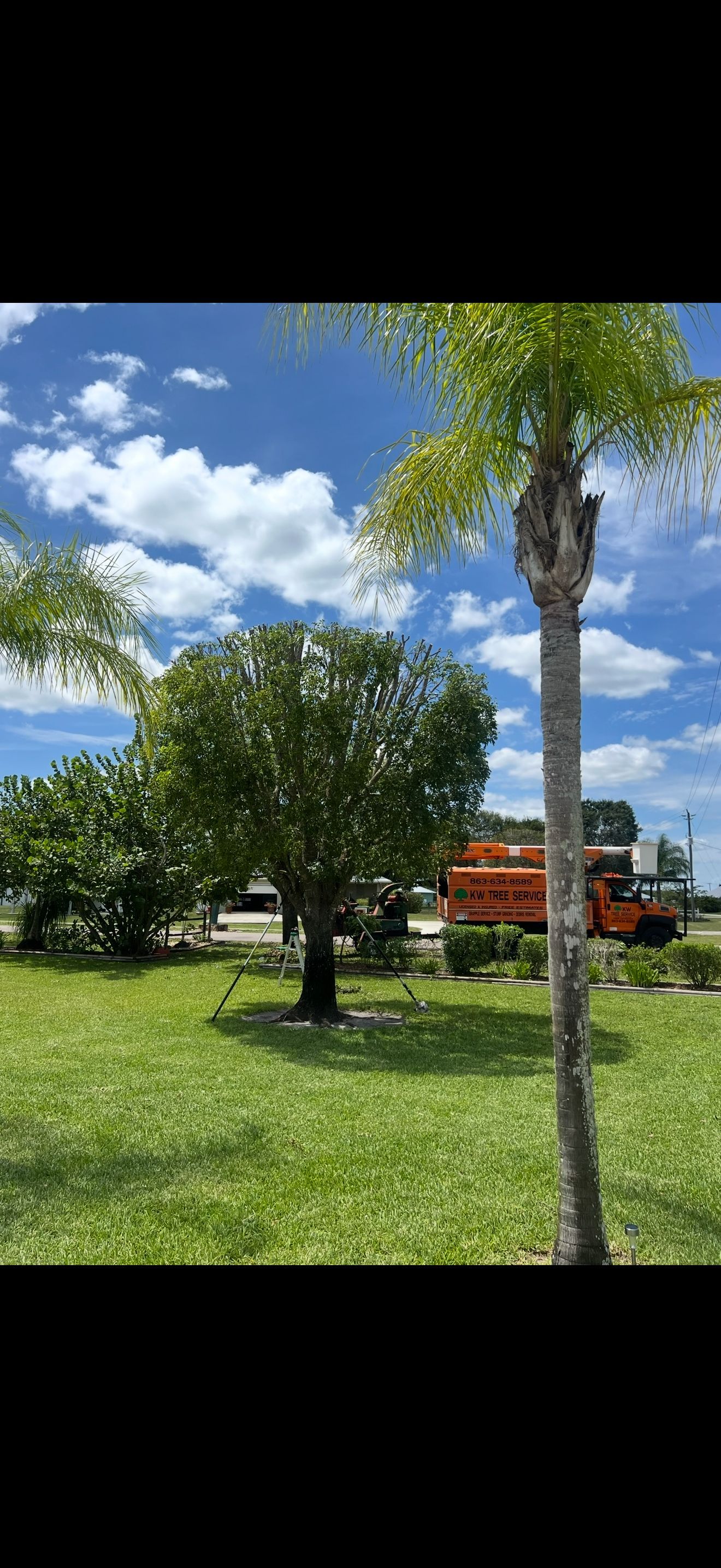 Sunny park with green grass, trees, blue sky, and a red building in the background