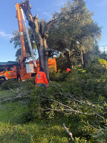 Worker clearing fallen branches beside an orange excavator in a wooded area Worker clearing fallen branches beside an orange excavator in a wooded area