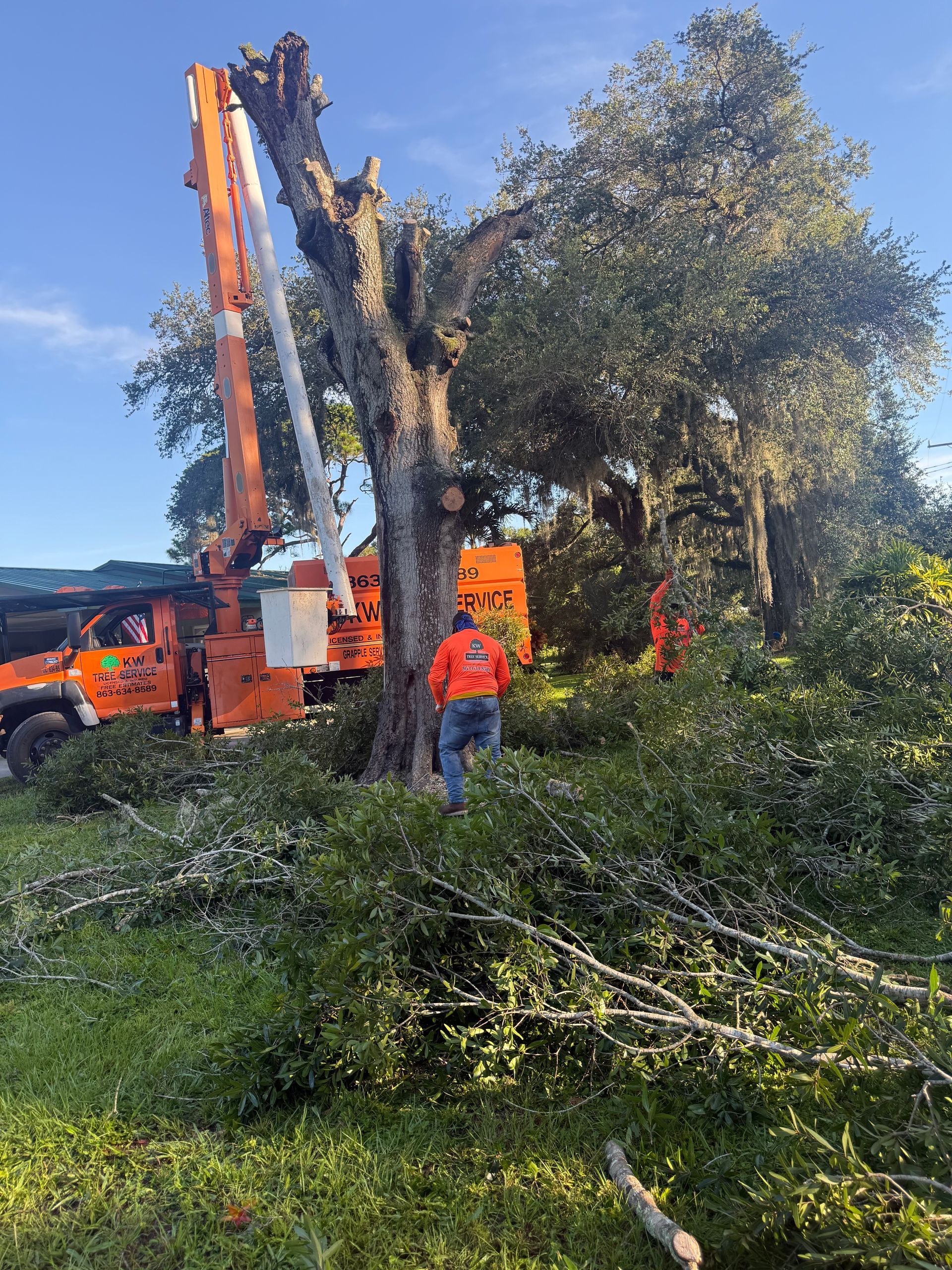 Workers clearing fallen tree branches with an orange crane truck in a grassy roadside area