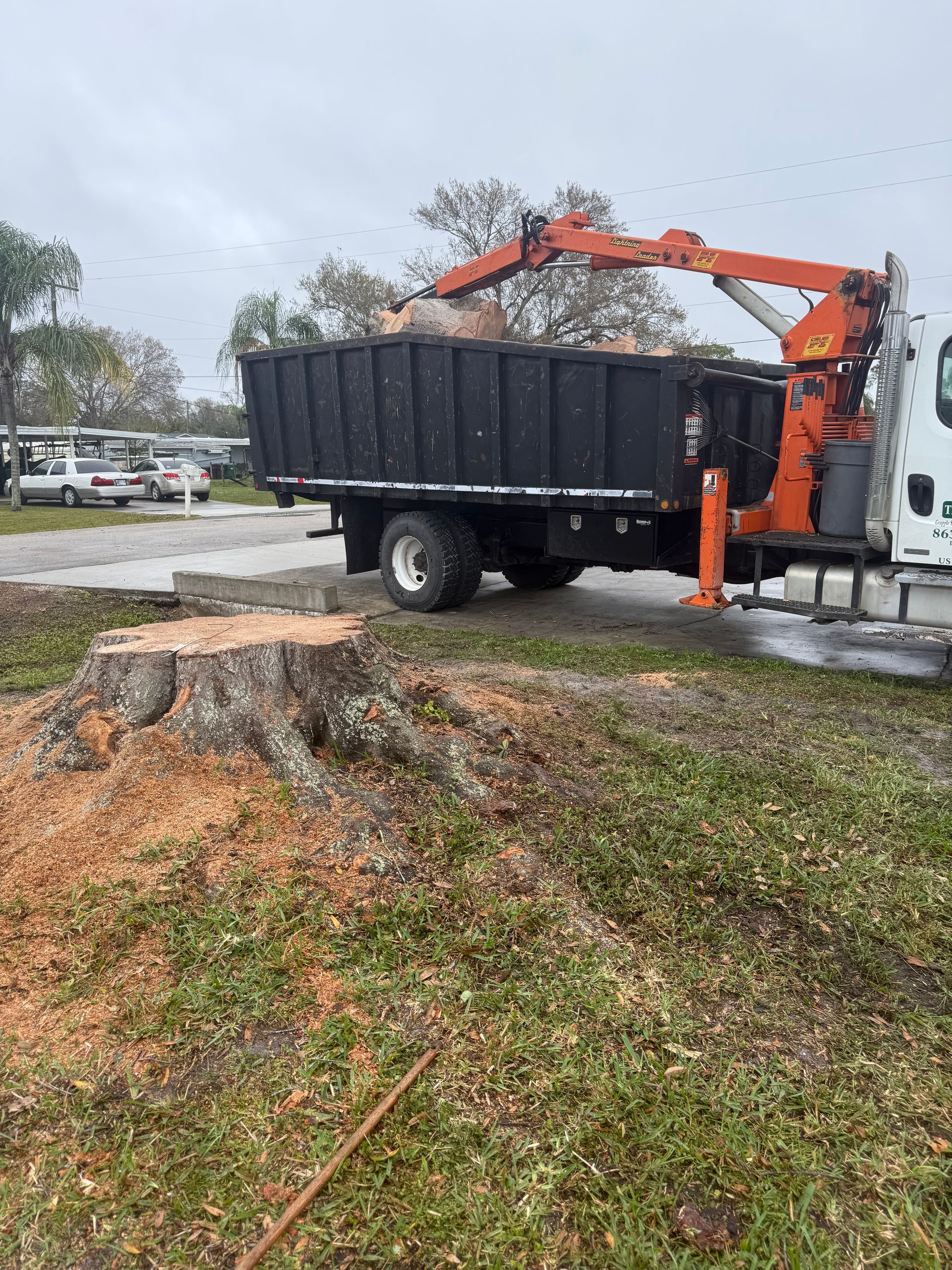 Orange crane loading debris into a black dump trailer beside a tree stump on a wet roadside.