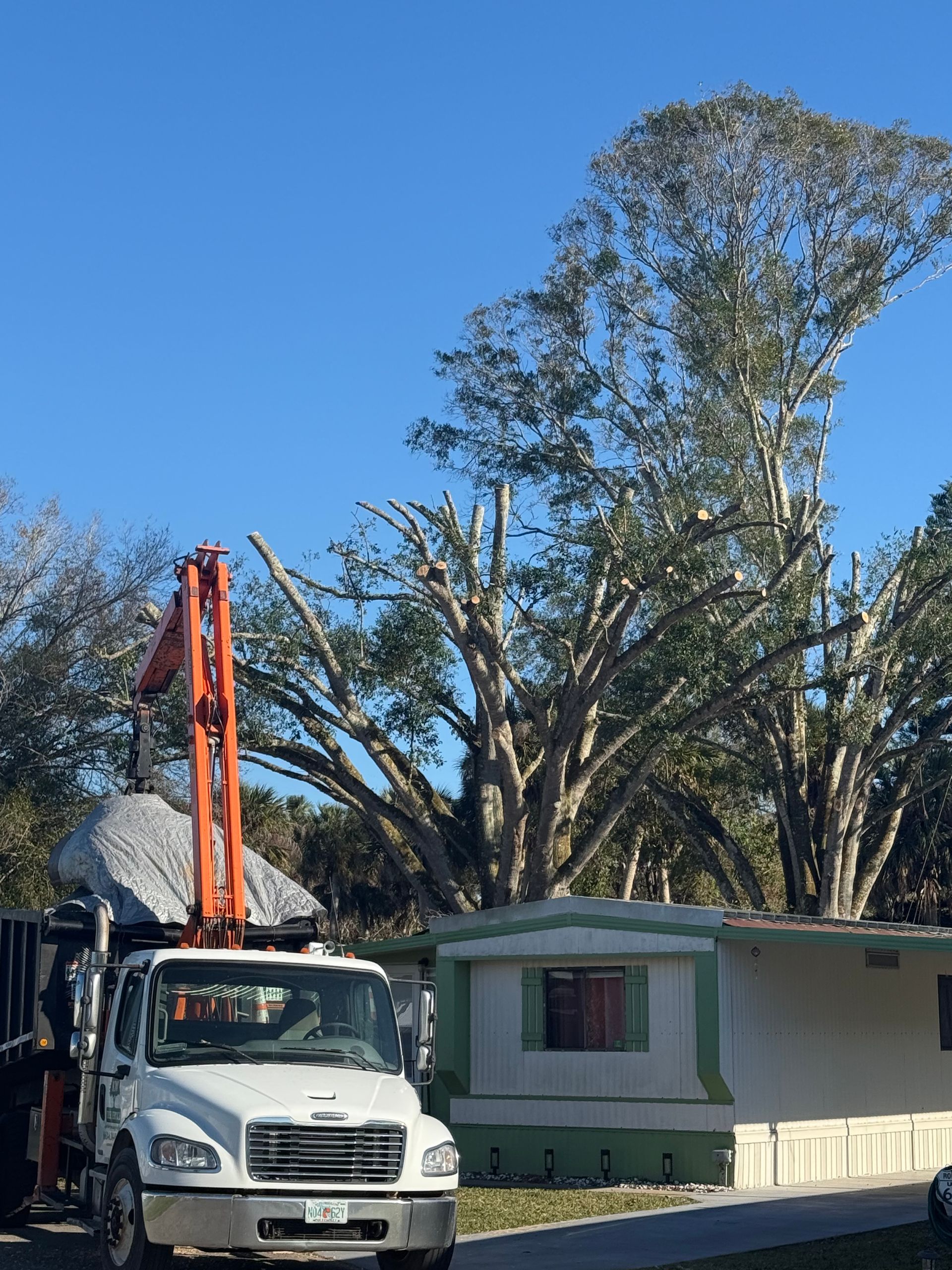 White utility truck with orange boom parked beside a small house under tall trees on a sunny day