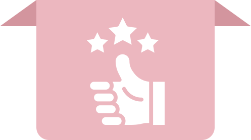 Solution Icon