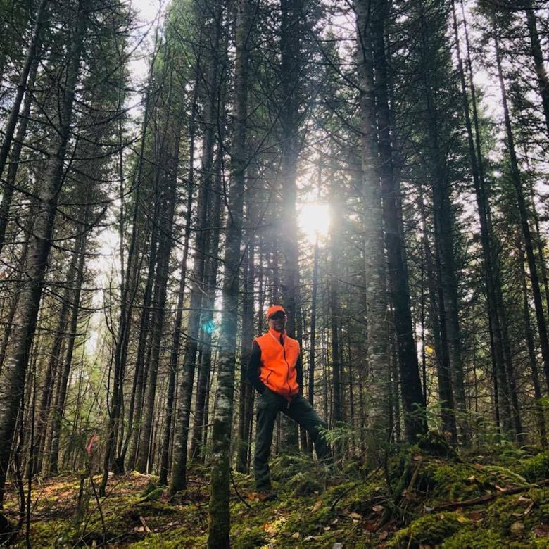 A man in an orange vest is standing in the middle of a forest.
