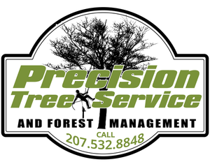 A logo for precision tree service and forest management