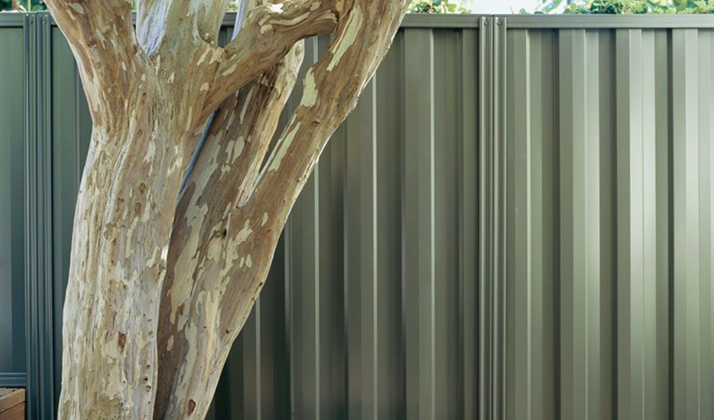 A tree is standing in front of a metal fence.