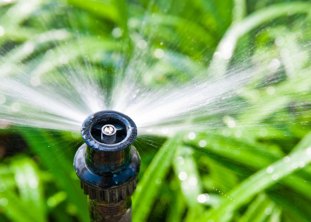 Garden Irrigation System — Water Equipment Service in Soldiers Point, NSW