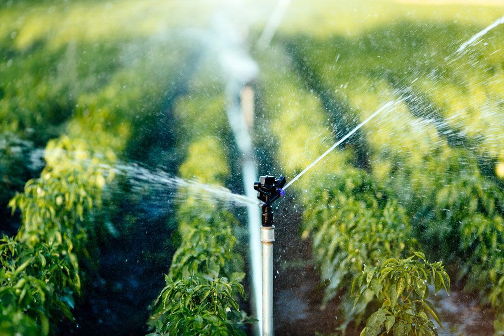 Spraying Water On Green Agricultural Field — Water Equipment Service in Salamander Bay, NSW