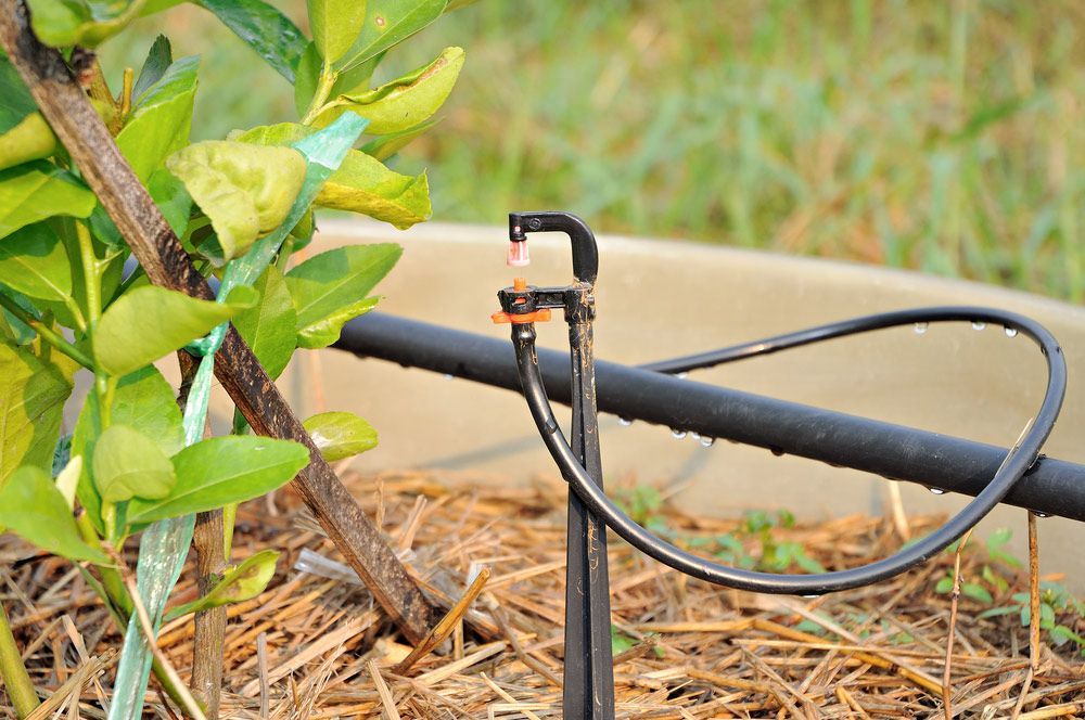 Efficient Irrigation System For Agricultural Plants — Water Equipment Service in Port Stephens, NSW