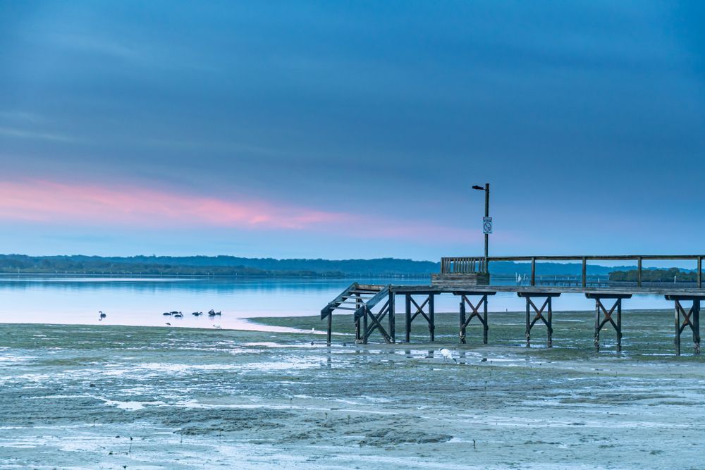 River Sunrise Waterscape And Wharf — Water Equipment Service in Mallabula, NSW