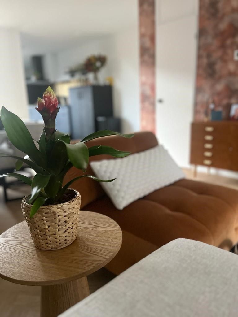 Een potplant staat op een houten tafel in de woonkamer.