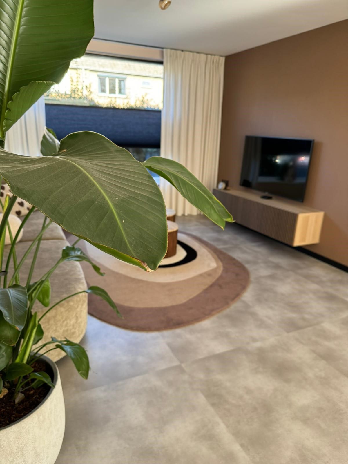 Een woonkamer met een plant en een televisie aan de muur.