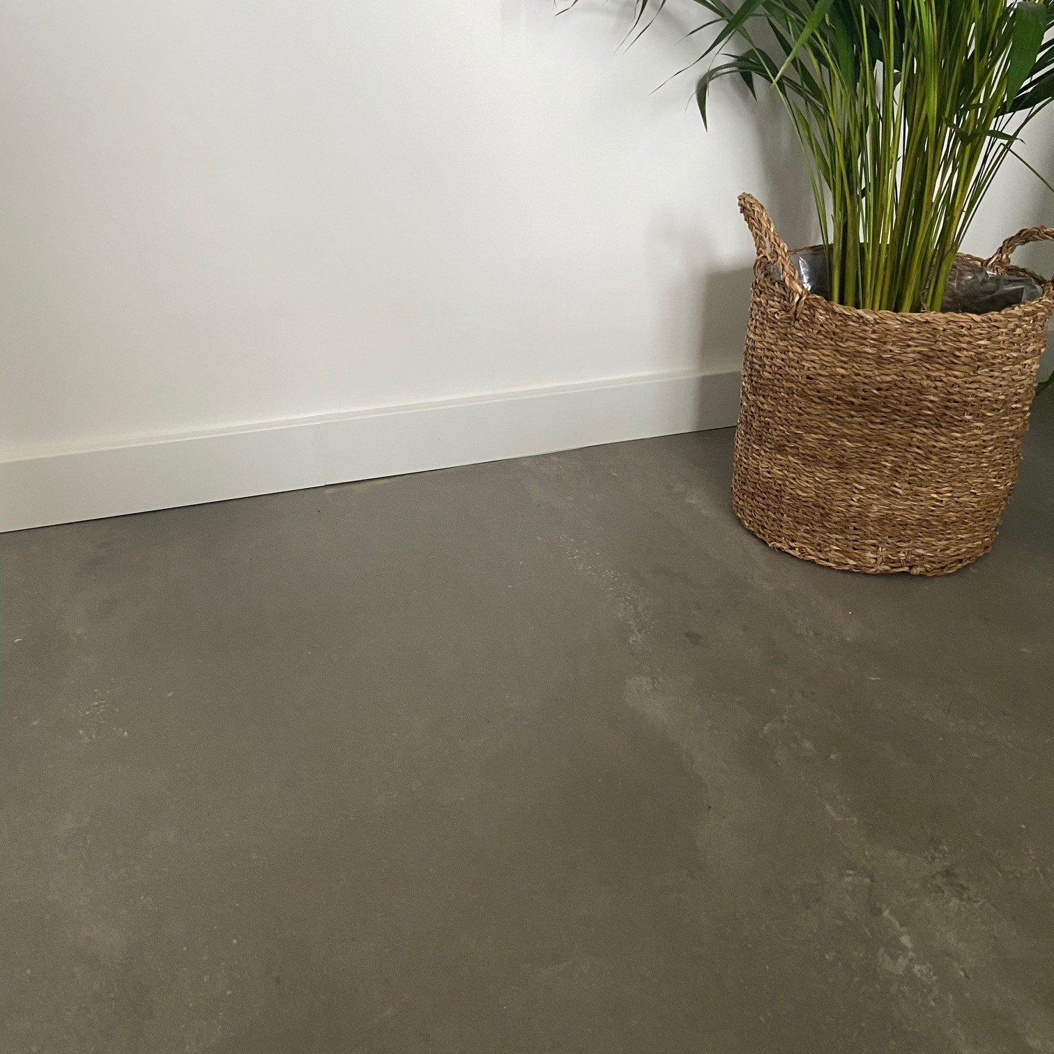 Een potplant staat op een betonnen vloer naast een muur.