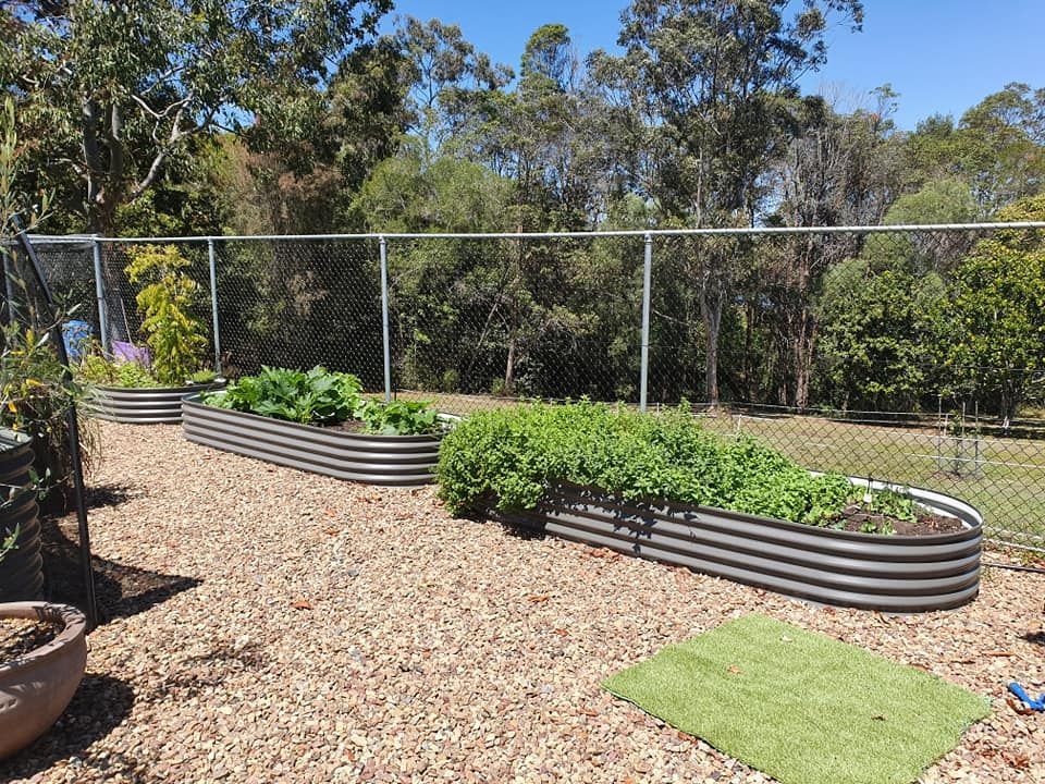A Garden Filled With Lots of Plants and a Metal Border — Foley's Tanks in Palmwoods, QLD