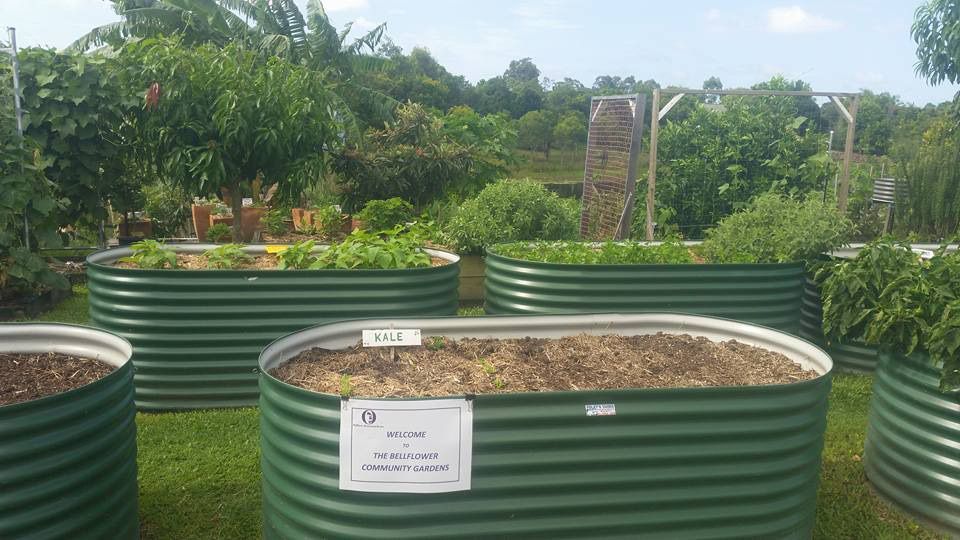 A Row of Metal Planters Filled With Plants in a Garden — Foley's Tanks in Landsborough, QLD