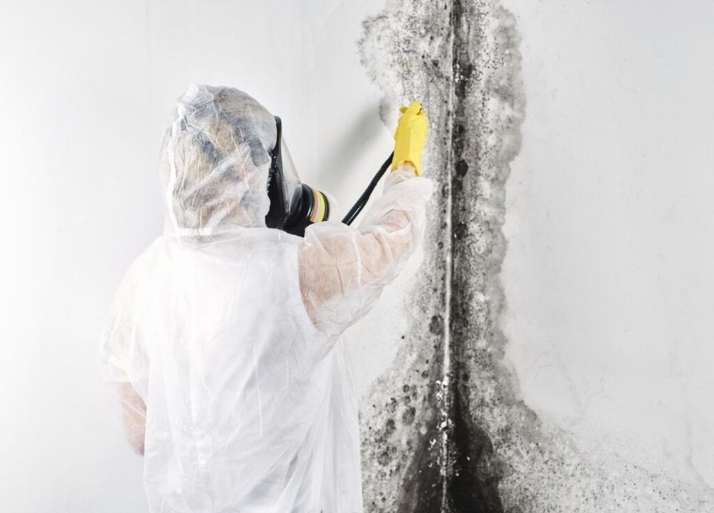 Person in protective gear spraying cleaner on moldy wall with a yellow sprayer