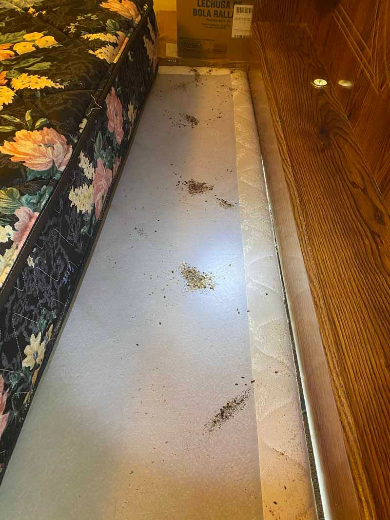 Gallery Bug Off Pest Control Kalispell, Hamilton, Polson, MT