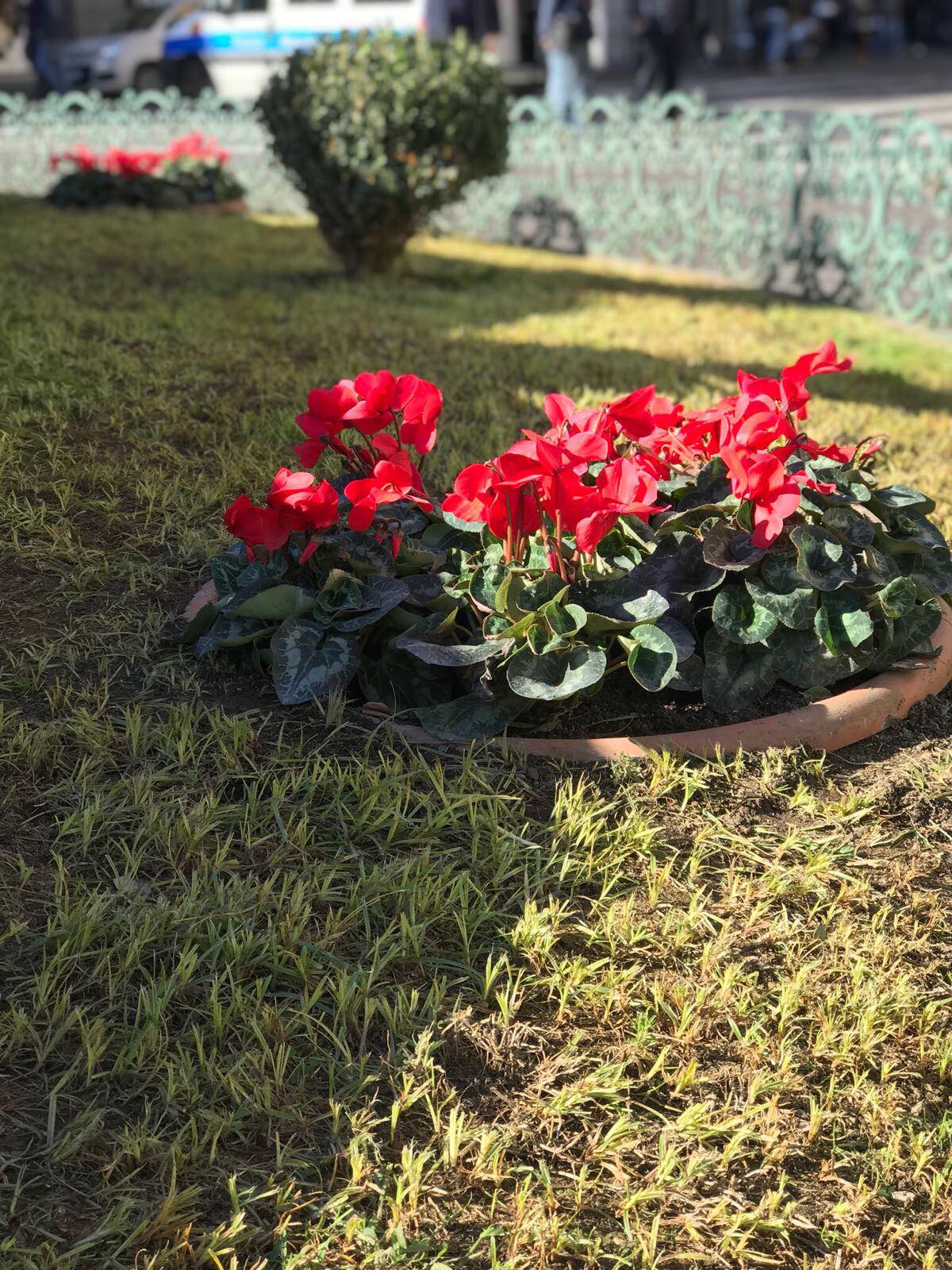 Giardinaggio