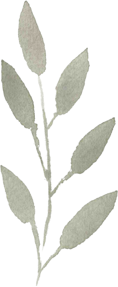 A watercolor painting of a branch with leaves on a white background.