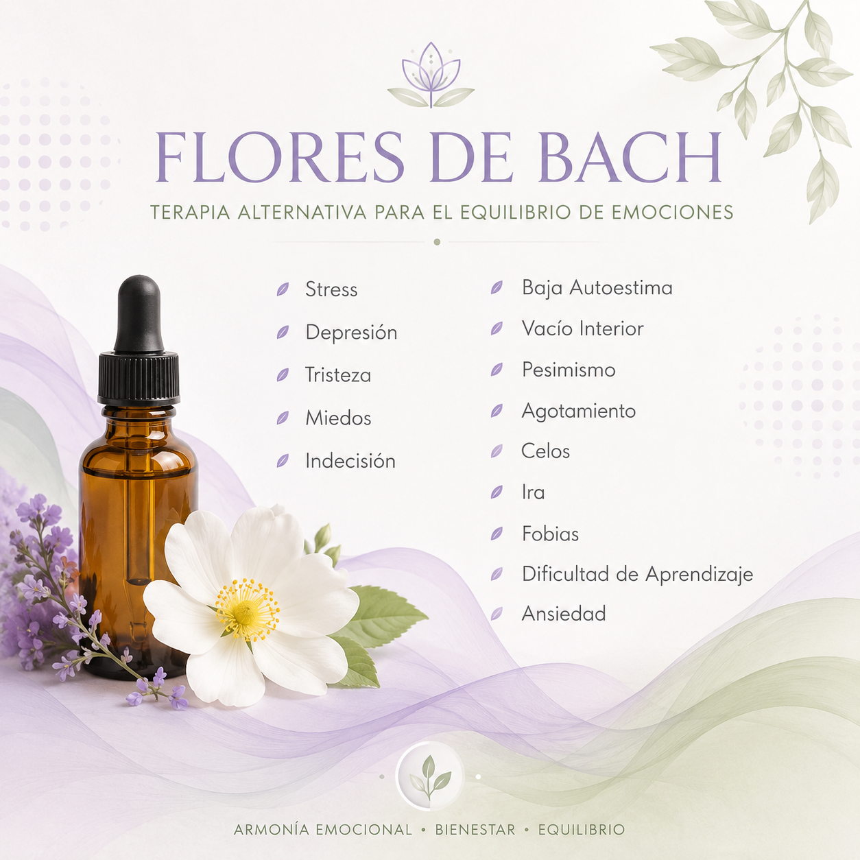 Póster Flores de Bach con frasco cuentagotas color ámbar, flores blancas y fondo verde lavanda pastel.